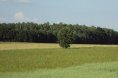 Rzeka i okolice 2010