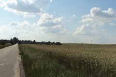 phoca_thumb_l_16