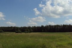 phoca_thumb_l_6